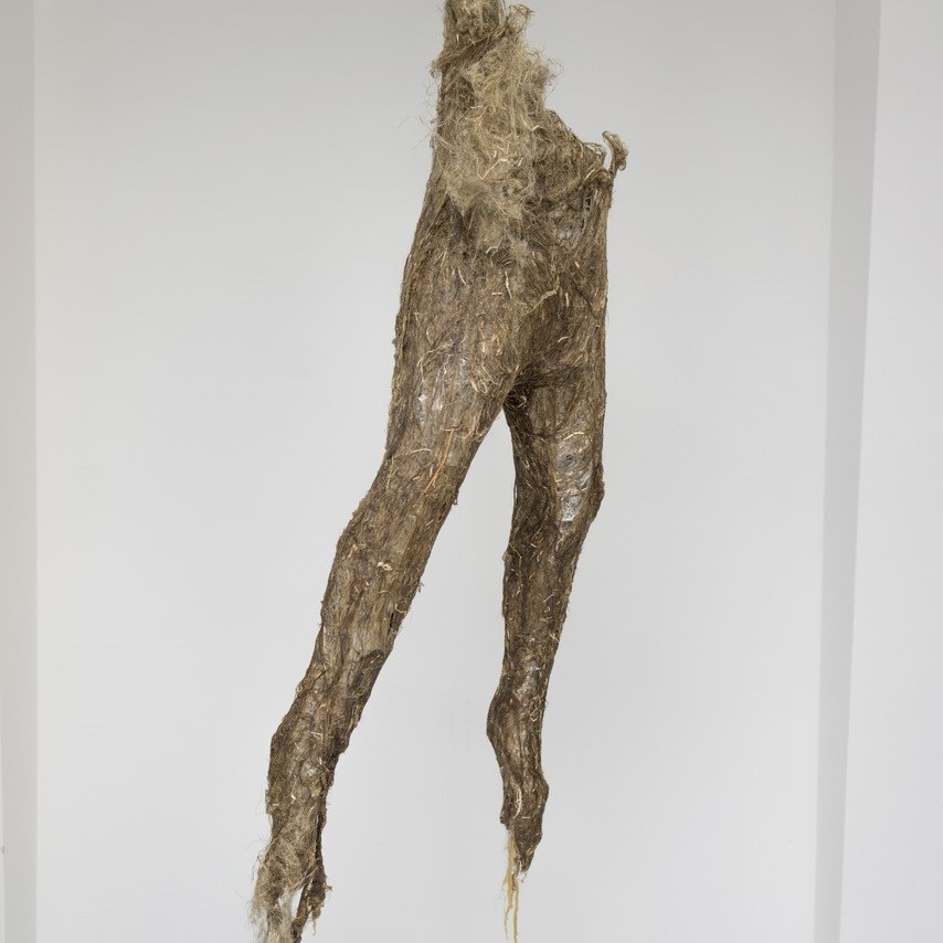 Kunstwettbewerb - Beitrag von Petra Höcker