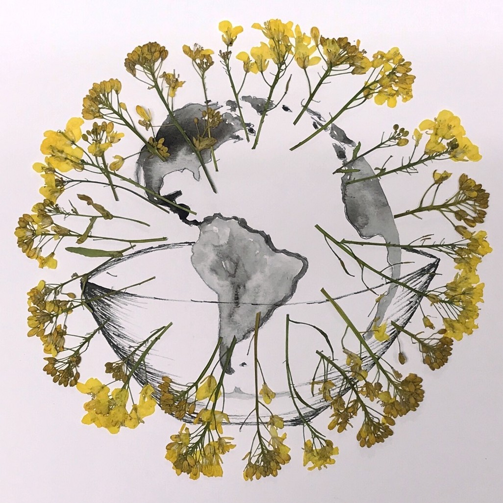 Kunstwettbewerb - Beitrag von Michelle Gallagher