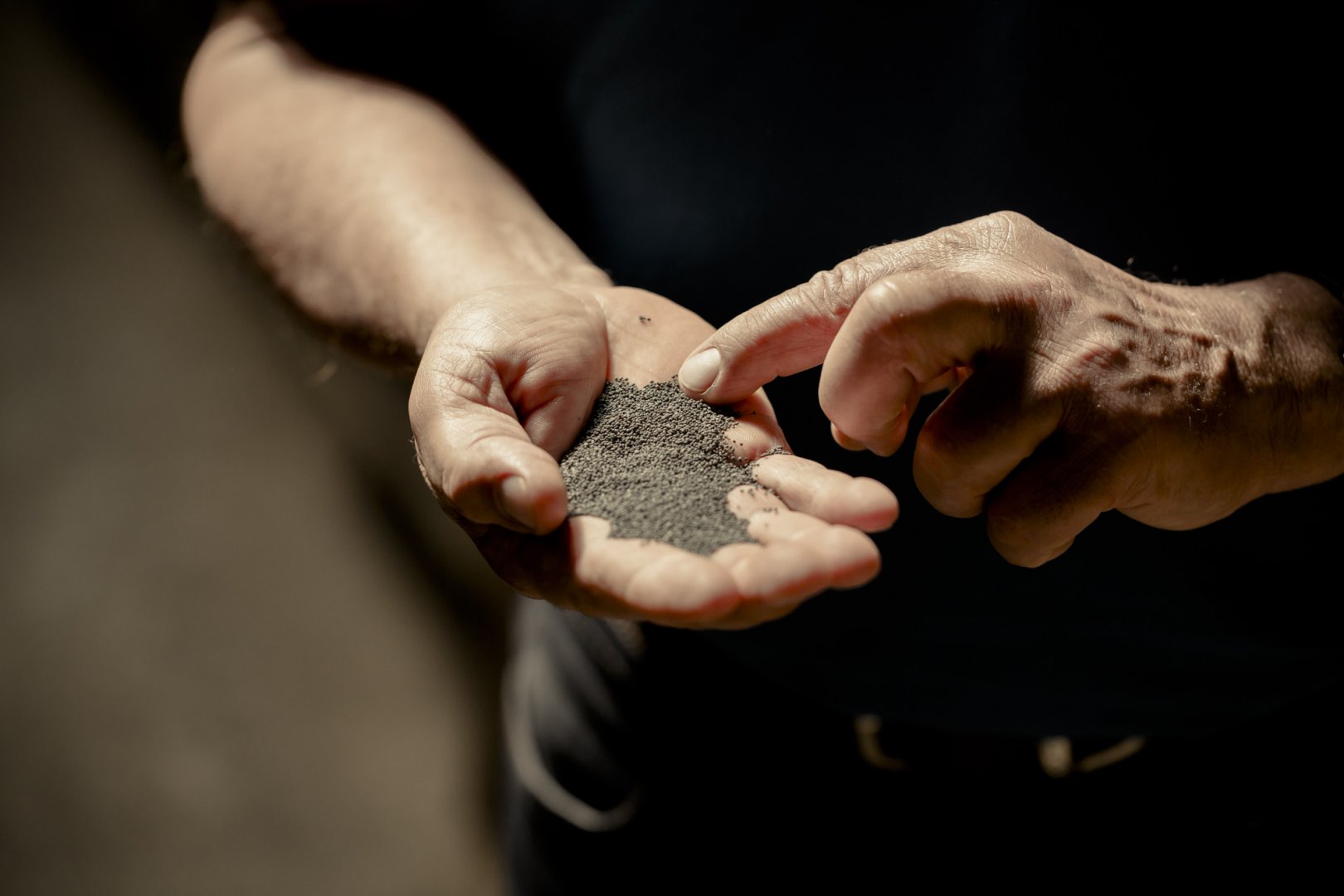 Landwirt hält Samen in der Hand