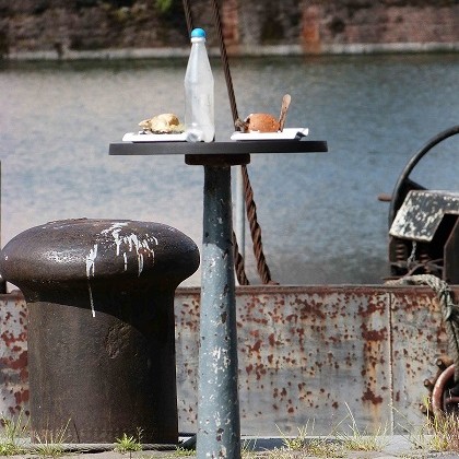 Kunstwettbewerb - Beitrag von Bukowski - seafood - eat more trash
