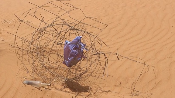 Kunstwettbewerb - Beitrag von Dorothee Schabert - Desert Waves