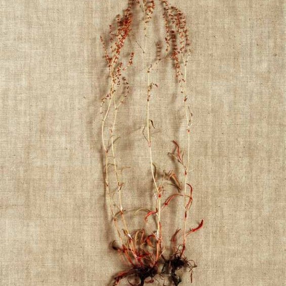 Kunstwettbewerb - Beitrag von Kyungwon Shin